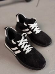 Robin - Зображення 6