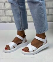 Rose - Зображення 3