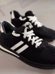 Robin - Зображення 4