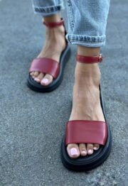 Penelope - Зображення 2