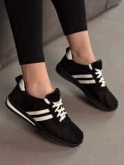 Robin - Зображення 5