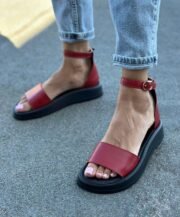 Penelope - Зображення 3